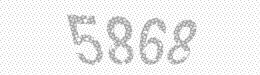 Visual security code — type the characters shown in the image